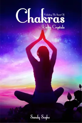 Book cover from the KD Prime Publishers portfolio