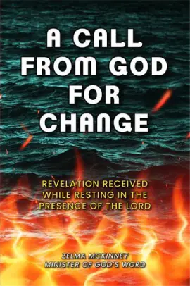 Book cover from the KD Prime Publishers portfolio